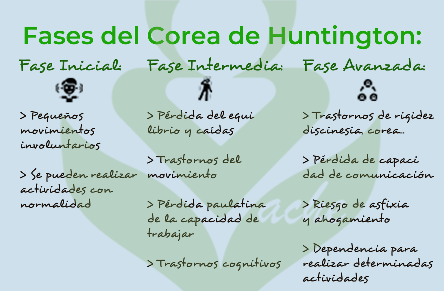 Fases De La Enfermedad De Huntington