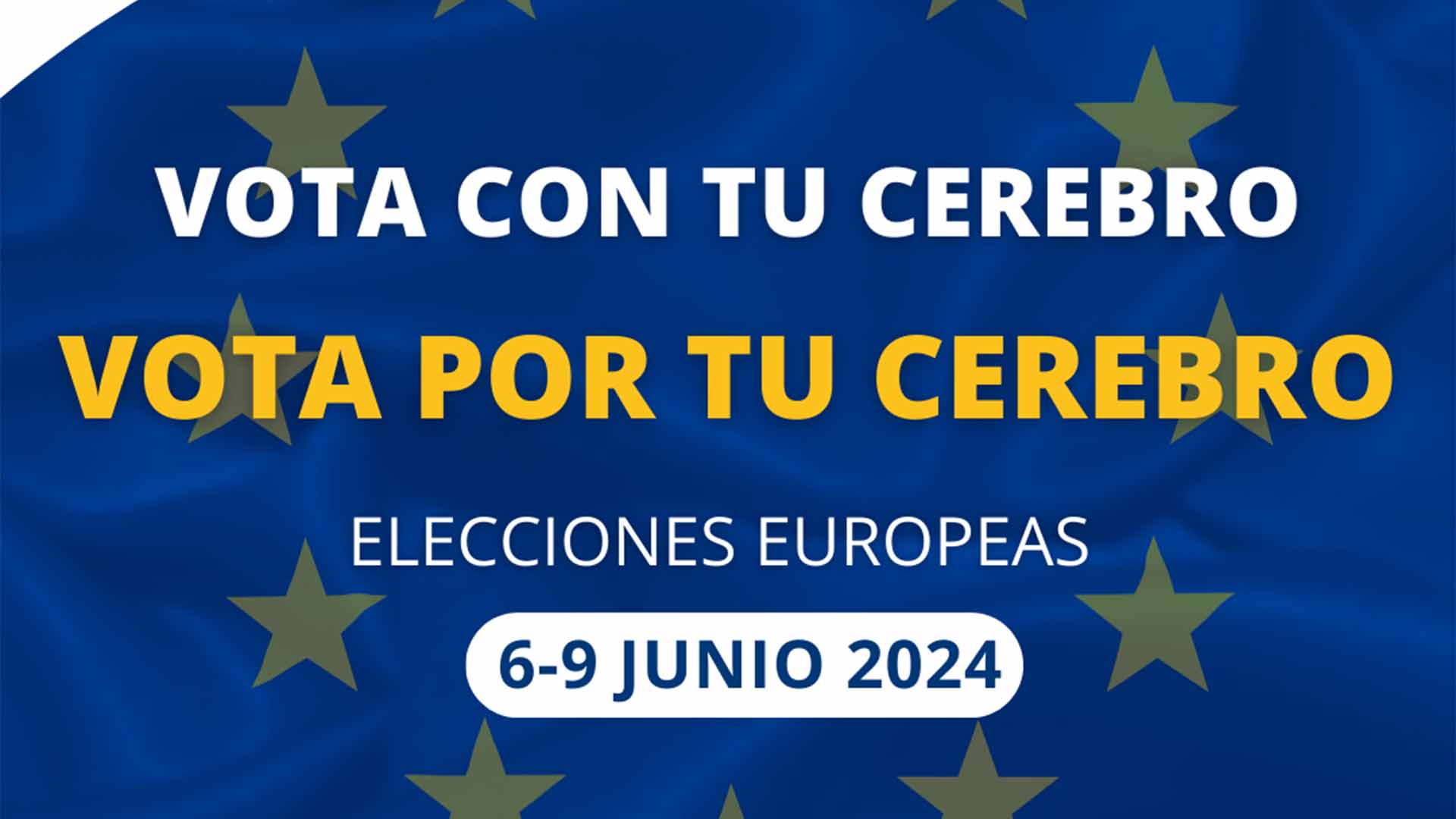 En este momento estás viendo Las elecciones europeas están a la vuelta de la esquina. Descubre por qué las familias afectadas por la EH deberíamos ir a votar